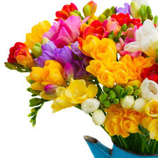 tesco flowers online