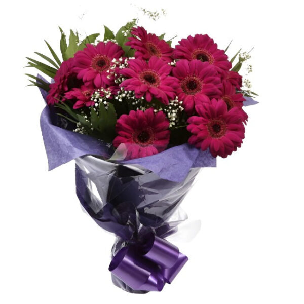 Cerise Glamour Gerberas