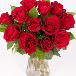 Red Roses