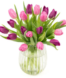 Simply Tulips