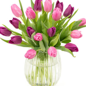 Simply Tulips