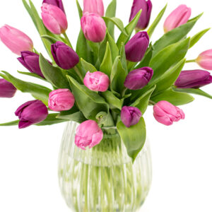 Simply Tulips